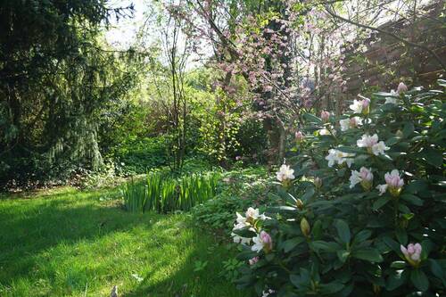 Garten - 