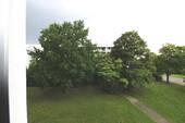 Ausblick - 