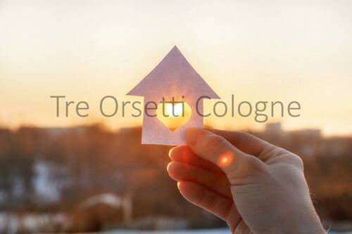 Sonne.jpg - !!! Etwas Besonderes !!! - 725.000,00 EUR Kaufpreis, ca.  181,00 m² Wohnfläche