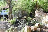 Teich - 