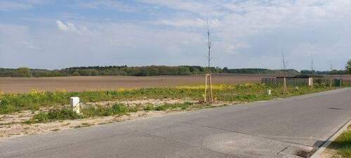 Bild 7 - Einfamilienhaus mit 125,00 m² in Velgast zum Kaufen