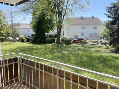 Blick ins Grüne - 