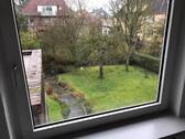 Blick in den Garten - 