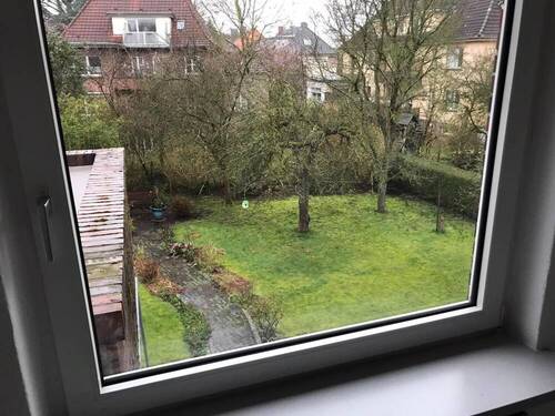 Blick in den Garten - 