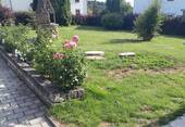 Bild 1 - Schön gelegenes Grundstück in Ammersricht mit Beispielhaus KfW 40