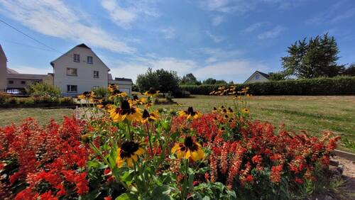 Grundstück - 8 Zimmer Mehrfamilienhaus, Wohnhaus zum Kaufen in Frohburg