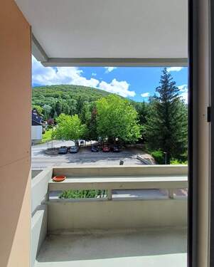überdachter Balkon - 2 Zimmer Etagenwohnung zum Kaufen in Bad Harzburg