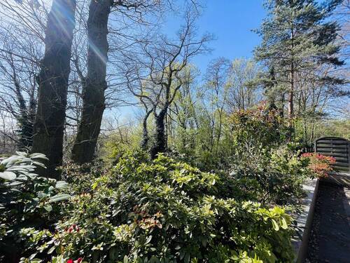 Terrasse Frühjahr - 