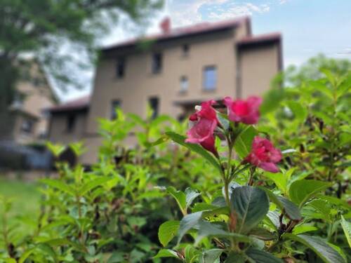 tolle Blumen - 