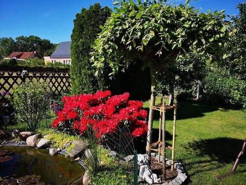 Garten - Grundstück in Cottbus