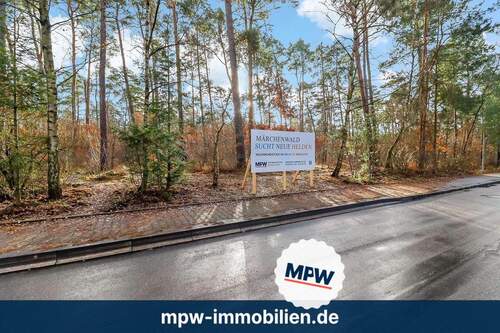 Waldansicht - Märchenwald sucht neue Helden - Prinzen, Feen & Abenteurer willkommen!