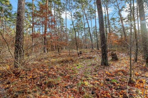 Waldansicht - Einfamilienhaus zum Kaufen in Berlin