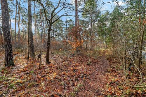 Waldansicht - Einfamilienhaus in Berlin
