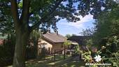 Seitenansicht - 7 Zimmer Einfamilienhaus in Klingenberg am Main / Röllfeld