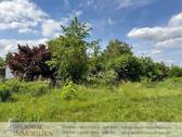 Gartenblick - 