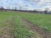 Blick zur Strasse - 