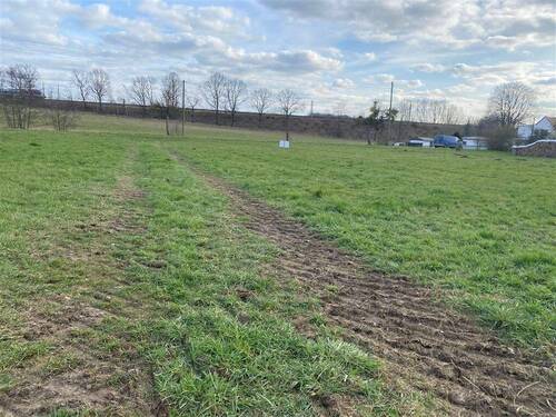 Blick zur Strasse - 