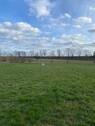 Blick vom Feld aus Grundstück - 