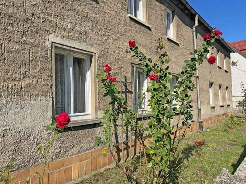 Ansicht - 5 Zimmer Einfamilienhaus zum Kaufen in Brandis