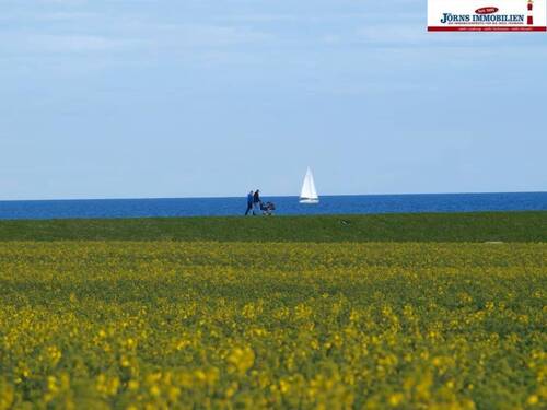 Ausspannen direkt am Meer - 