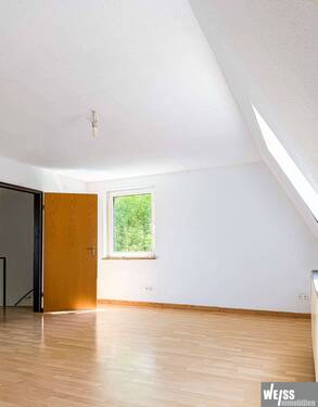 Zimmer DG 02 - 