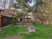 Garten Blick zum Haus - 