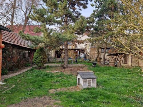 Garten Blick zum Haus - 