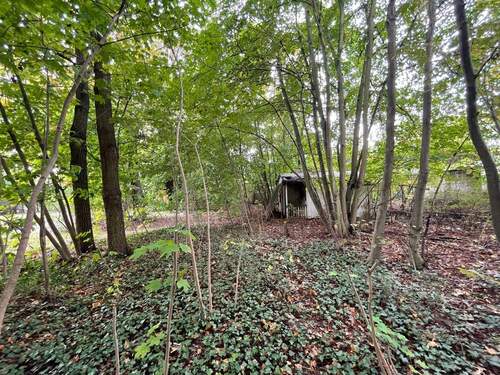 Grundstücksansicht - 