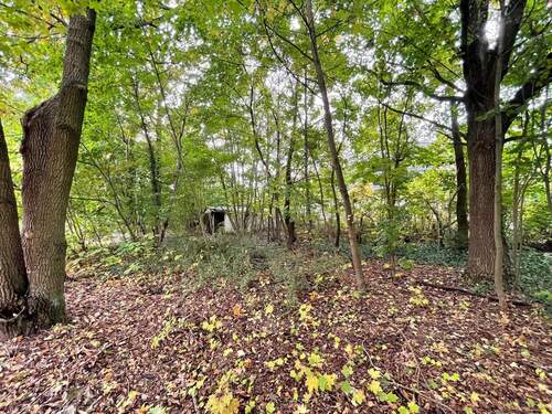 Grundstücksansicht - 