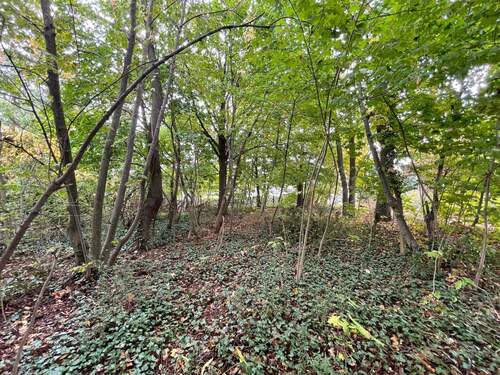 Grundstücksansicht - 