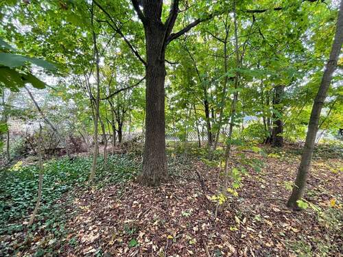 Grundstücksansicht - 