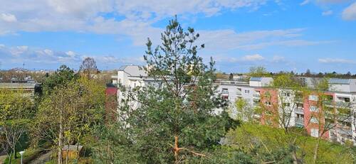 Blick nach Mannheim - 4 Zimmer Etagenwohnung in Mannheim