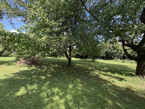 Garten - 