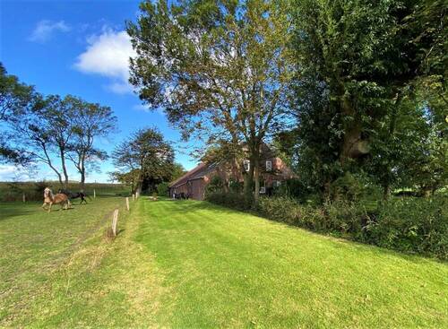 Pferde direkt am Haus - 