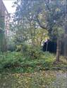 Garten, Hinterhof - 