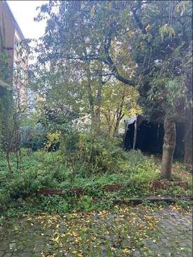 Garten, Hinterhof - 