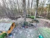 Blick in Wald - 
