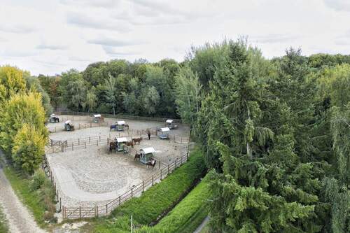 Reitverein LRV Lichtenrade e.V. - 