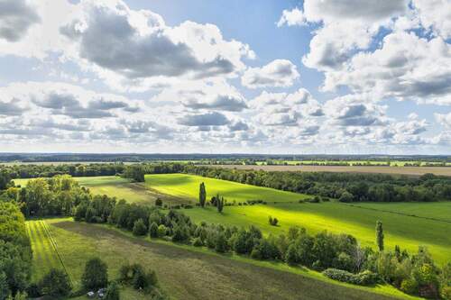 Felder im direkten Umfeld - 