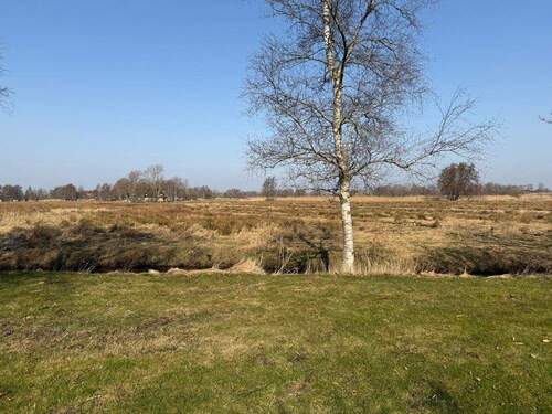 Blick über die Wiesen / Felder - 6 Zimmer Einfamilienhaus in Nortorf