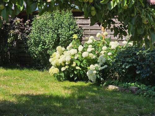 20250630_114524[1].jpg - 