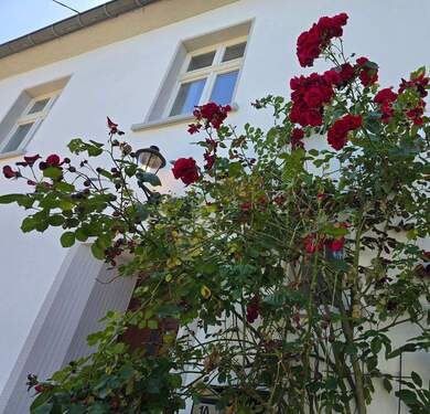 20250624_130747(1).jpg - 