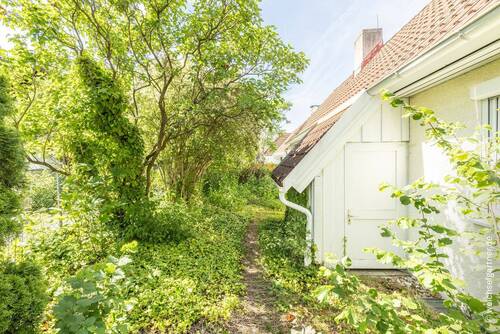 Weitere Ansicht des Gartens - 