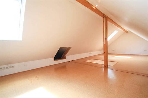 Dachstudio - 
