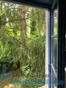 Blick in Garten.jpg - 7 Zimmer Mehrfamilienhaus, Wohnhaus in Landau an der Isar