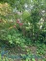 Garten.jpg - Mehrfamilienhaus, Wohnhaus mit 200,00 m&sup2; in Landau an der Isar zum Kaufen