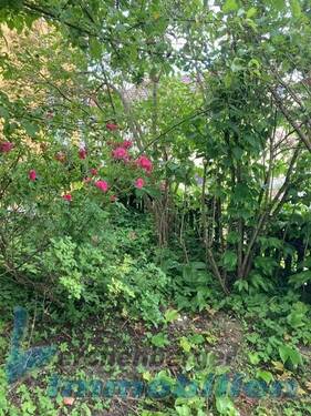 Garten.jpg - Mehrfamilienhaus, Wohnhaus mit 200,00 m&sup2; in Landau an der Isar zum Kaufen