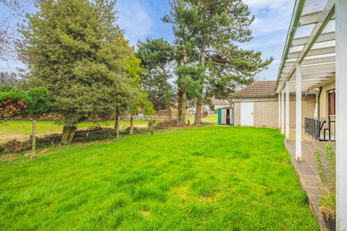 Blick in den Garten - 