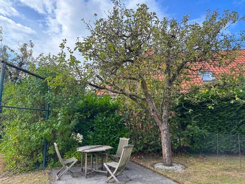  Garten - 
