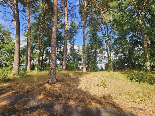 Flurstück 2 - Grundstück in Bad Saarow zum Kaufen